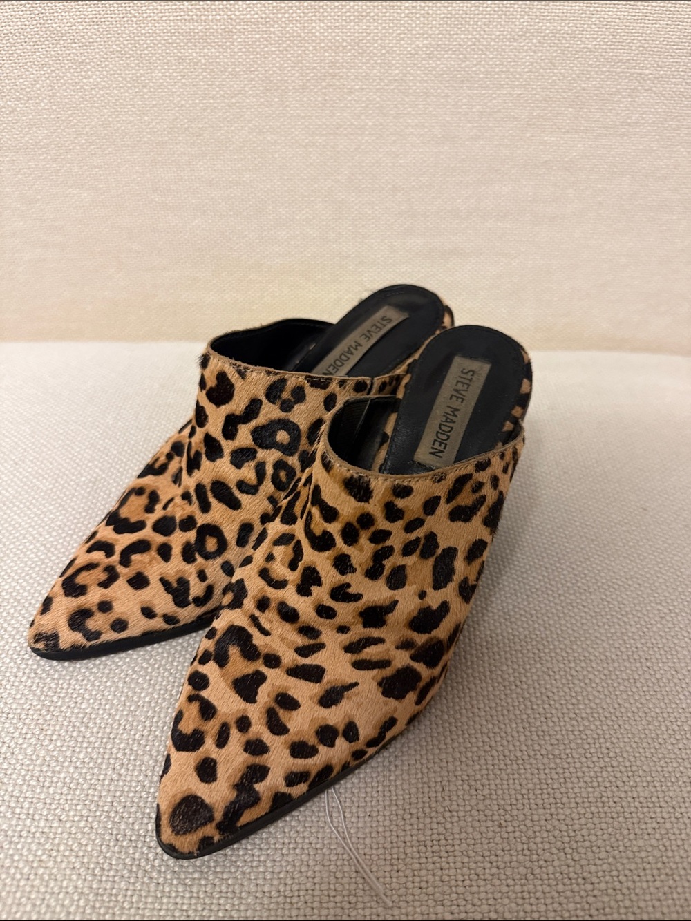 Steve Madden Leopard-Print Pointed Mule in Tan and Black
